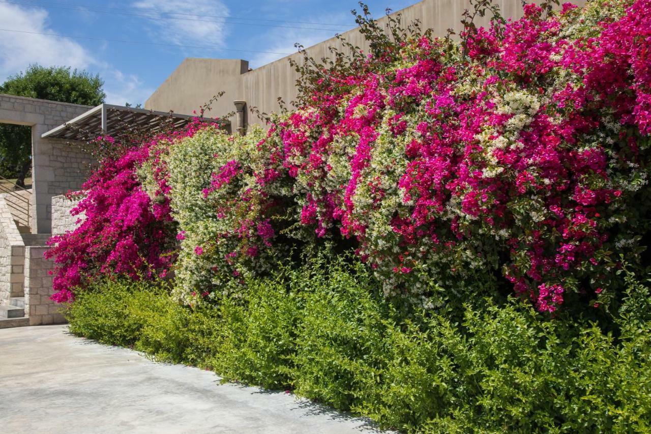 Country House Villadorata Noto Exterior foto